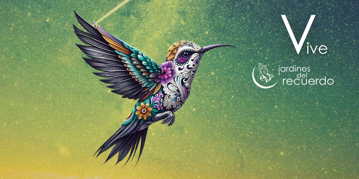 El colibrí: el hermoso mensajero de amor entre los vivos y los muertos