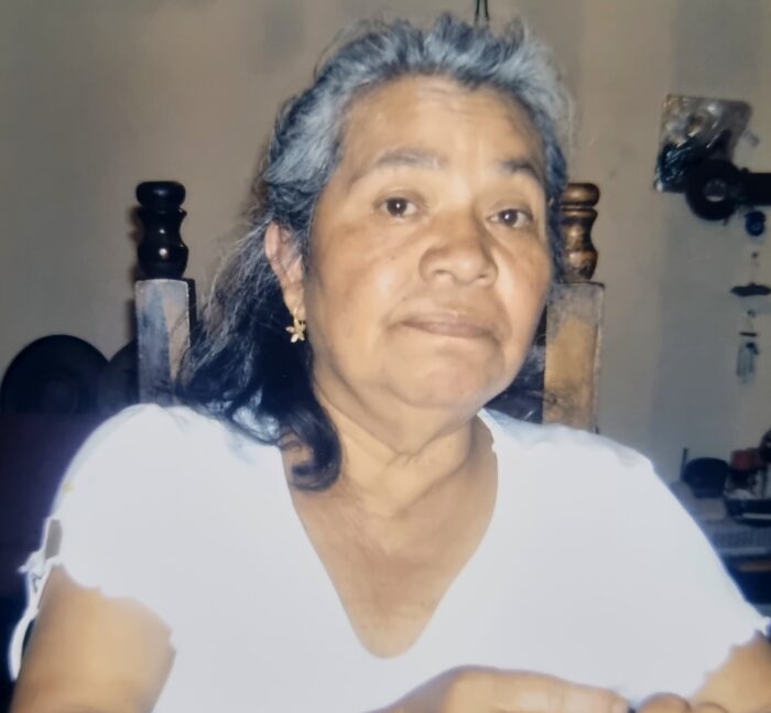 Maria Vidal García Jiménez